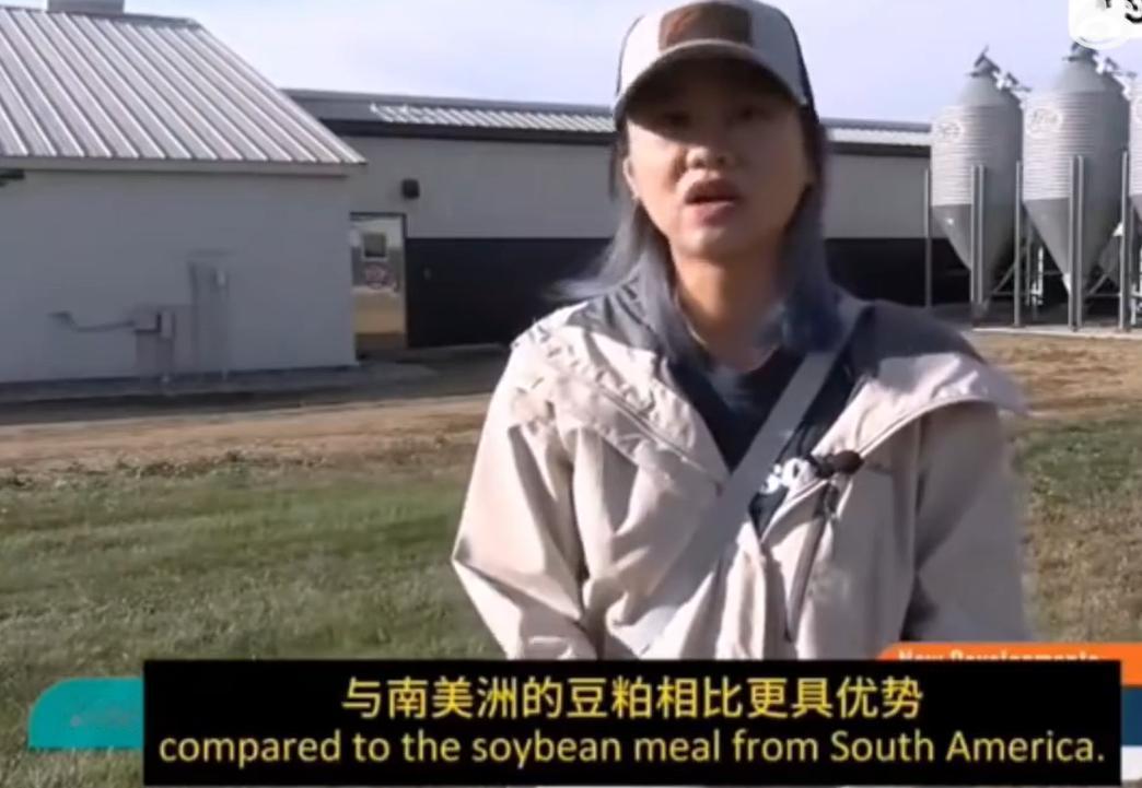 美国高调宣布大豆有救了！
美国宣布来自印尼和越南的采购商，正在争相购买美国大豆，