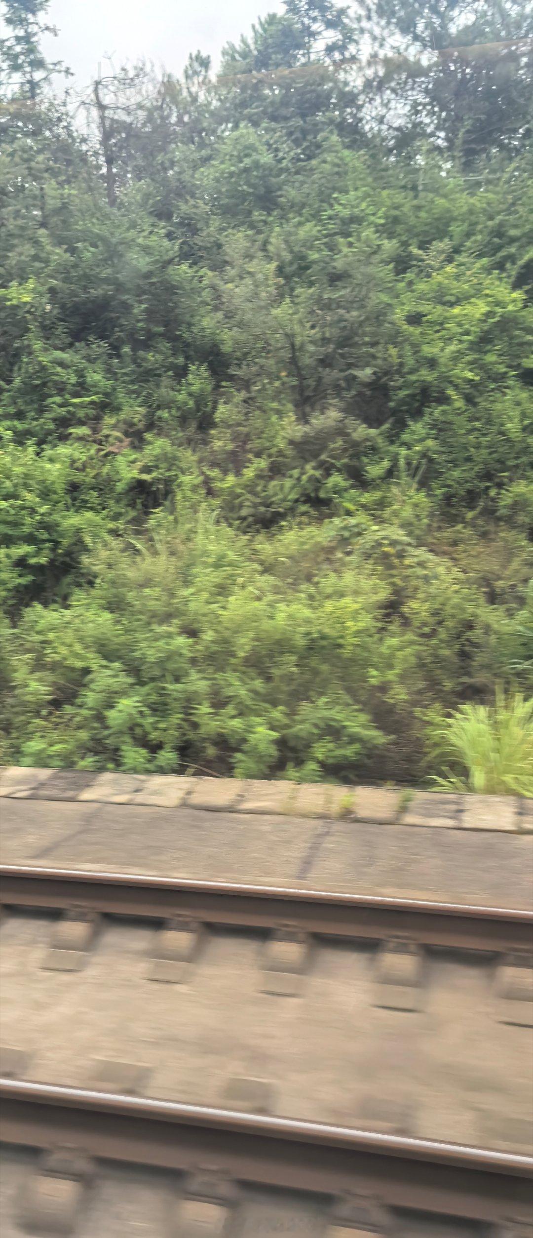 出发大同，宣大，我来了，哦不是，我不去宣府。吐槽一句，讲真，高铁上孩子不吵，外放