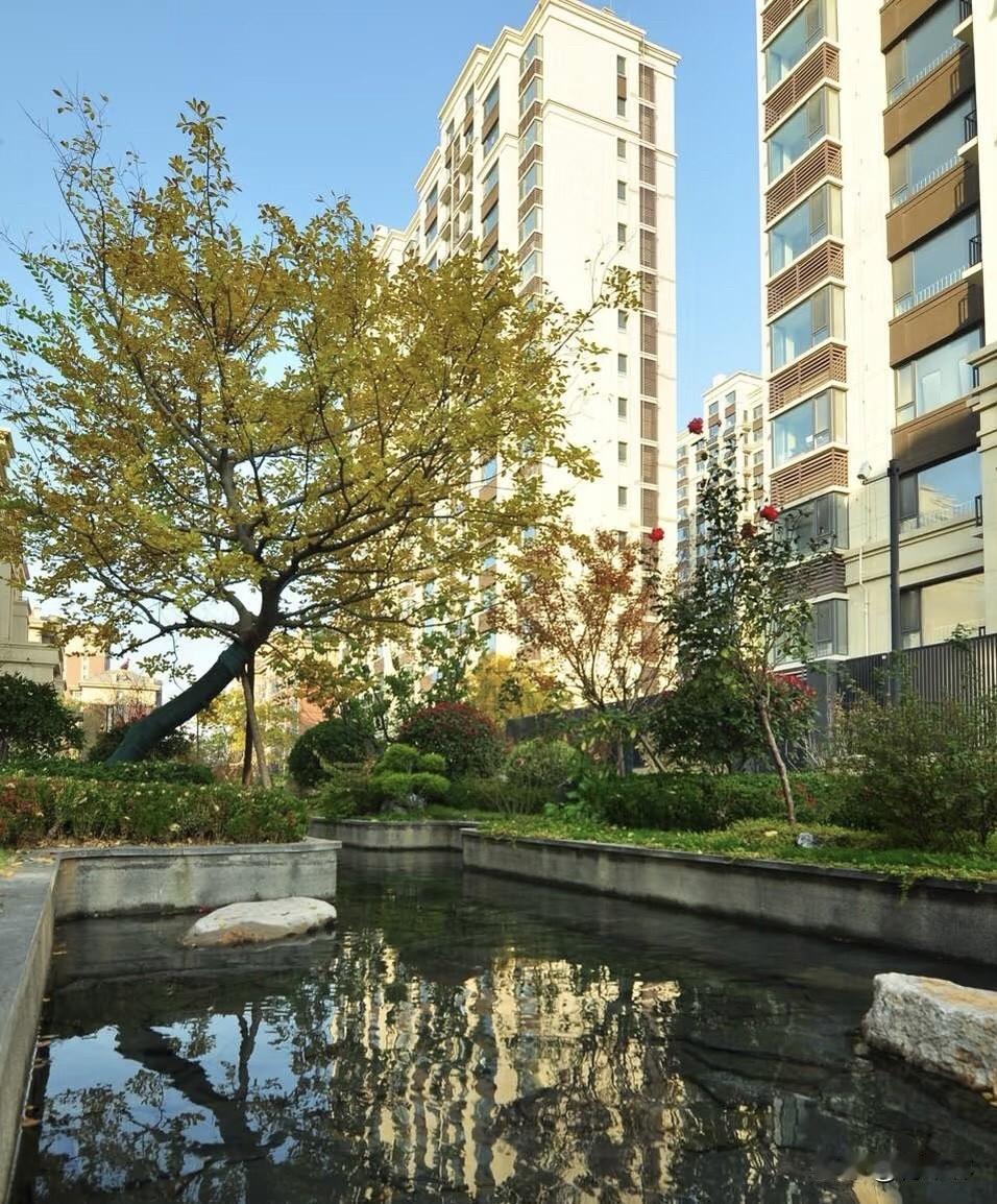 如何看待不同城市和区域的楼市差异我觉得不同城市楼市差别真的挺大，大城市配套全、人