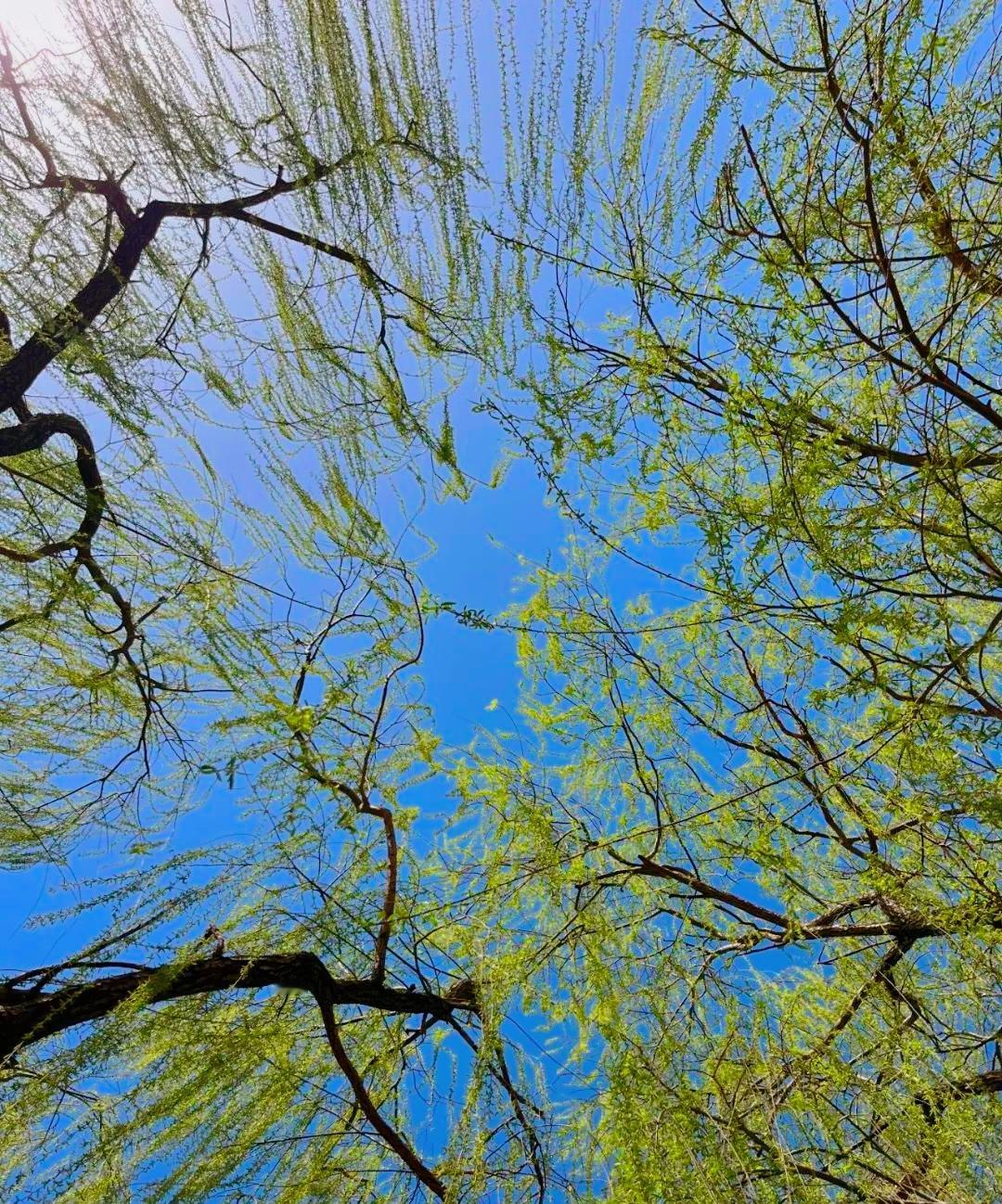 写微头条内容逻辑别凑字数，“一个观点——单点爆破法”
很多人写微头条总爱铺内容，