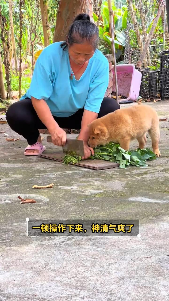 一顿操作下来神清气爽了。
