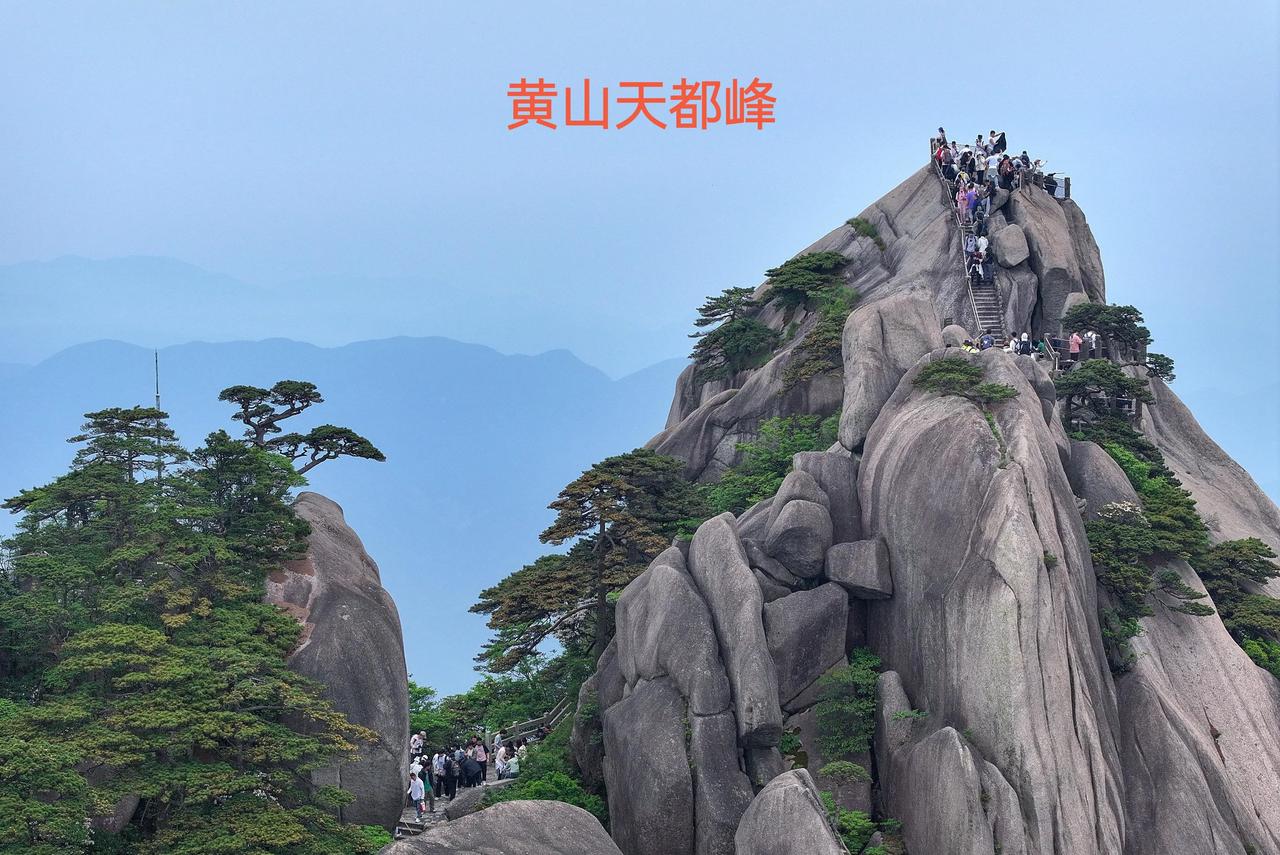 黄山的莲花峰与天都峰
三五年一轮休
今年轮到天都峰啦
欢迎大家来玩
[作揖][作