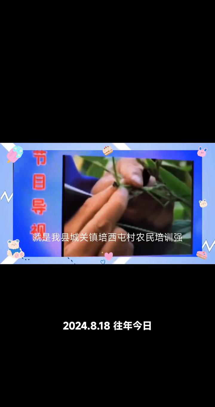 龙乡报道。
观众朋友您好，欢迎收看龙乡报道。本期节目是这样为您安排的：四棱豆第一