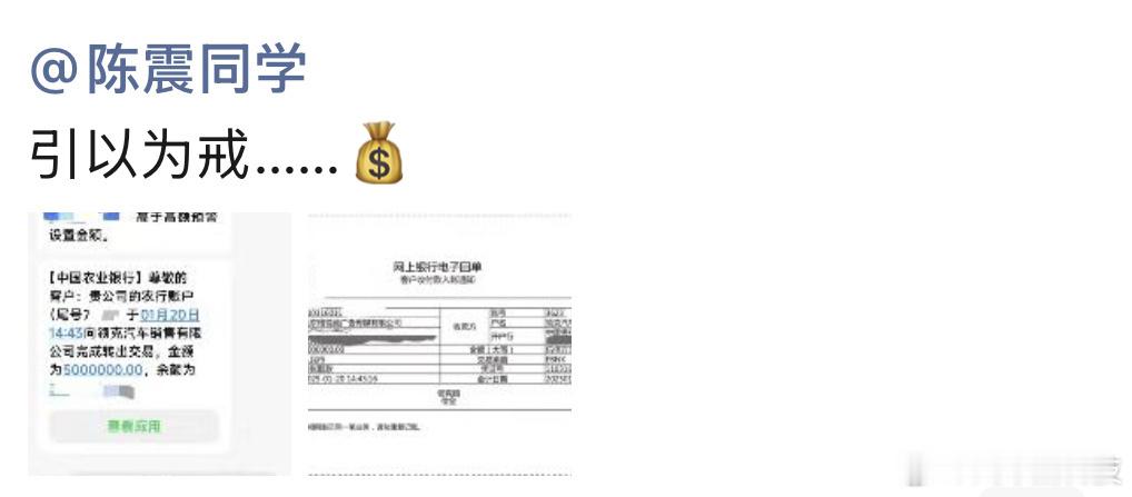 陈震赔付领克500万元违约金  蹲领克一个回复，这500万咋用 [doge] 