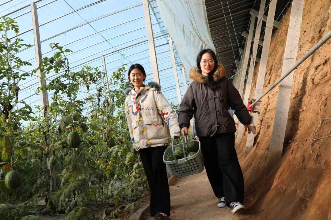 沾化区滨海镇：甜蜜经济铺就共富路