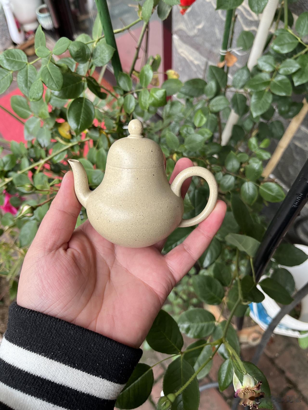 总听人说“砂感”、“颗粒感”？别装懂了，一篇文章给你讲透本质！
玩紫砂壶，很多人