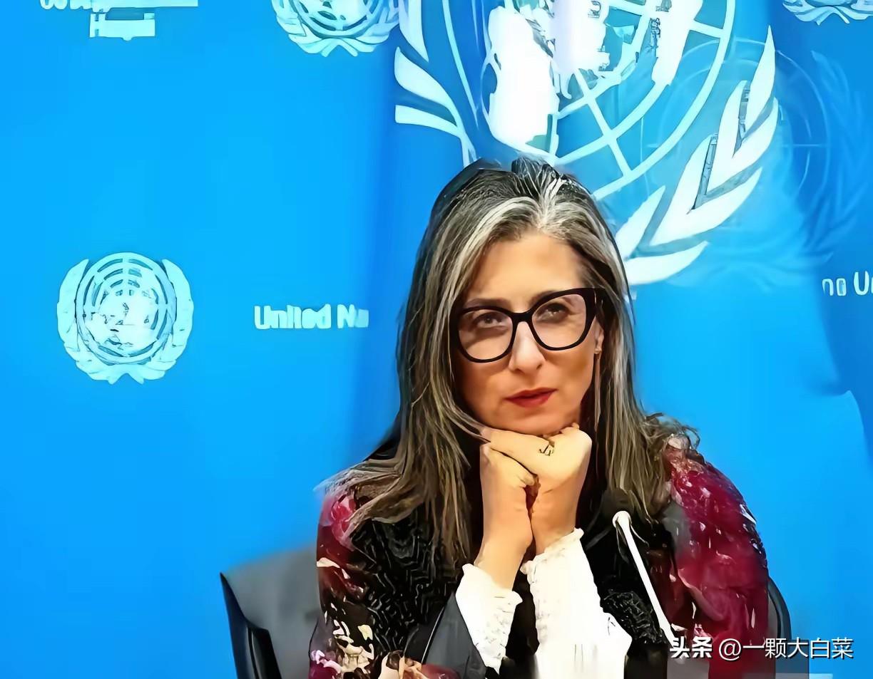 联合国里，终于来了个狠人。

一个叫阿尔巴内塞的女人，当着全世界的面，把一份报告