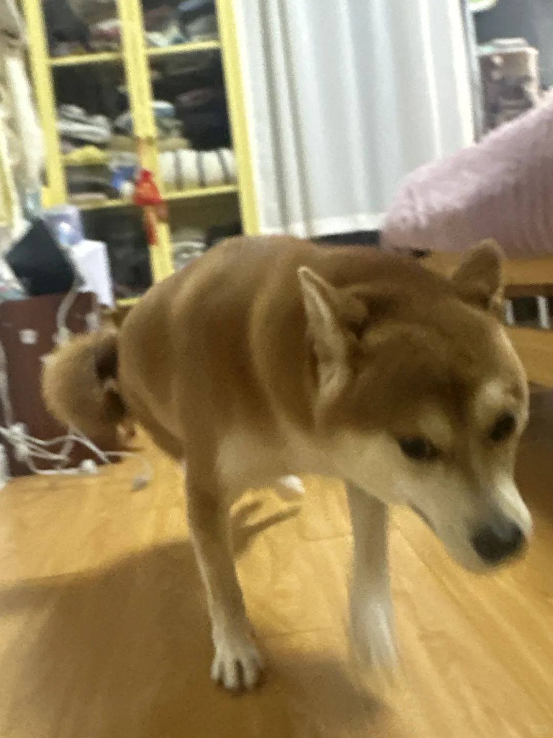 您好 请让一下 上班快迟到了我