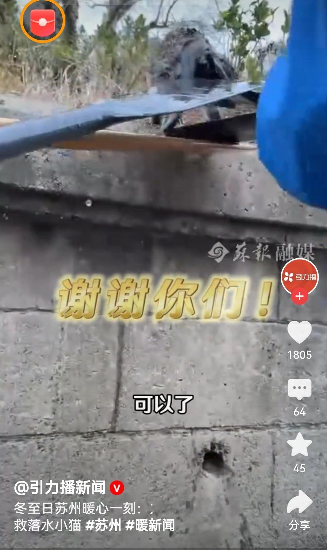 龙舟队用划桨托救落水小猫冬至日的暖心瞬间！苏州龙舟队用划桨托救落水小猫，看似微小