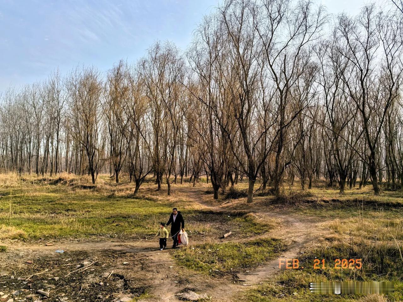 如何拍好小清新风照片春回大地，万物复苏，生机勃勃。宝哥视界