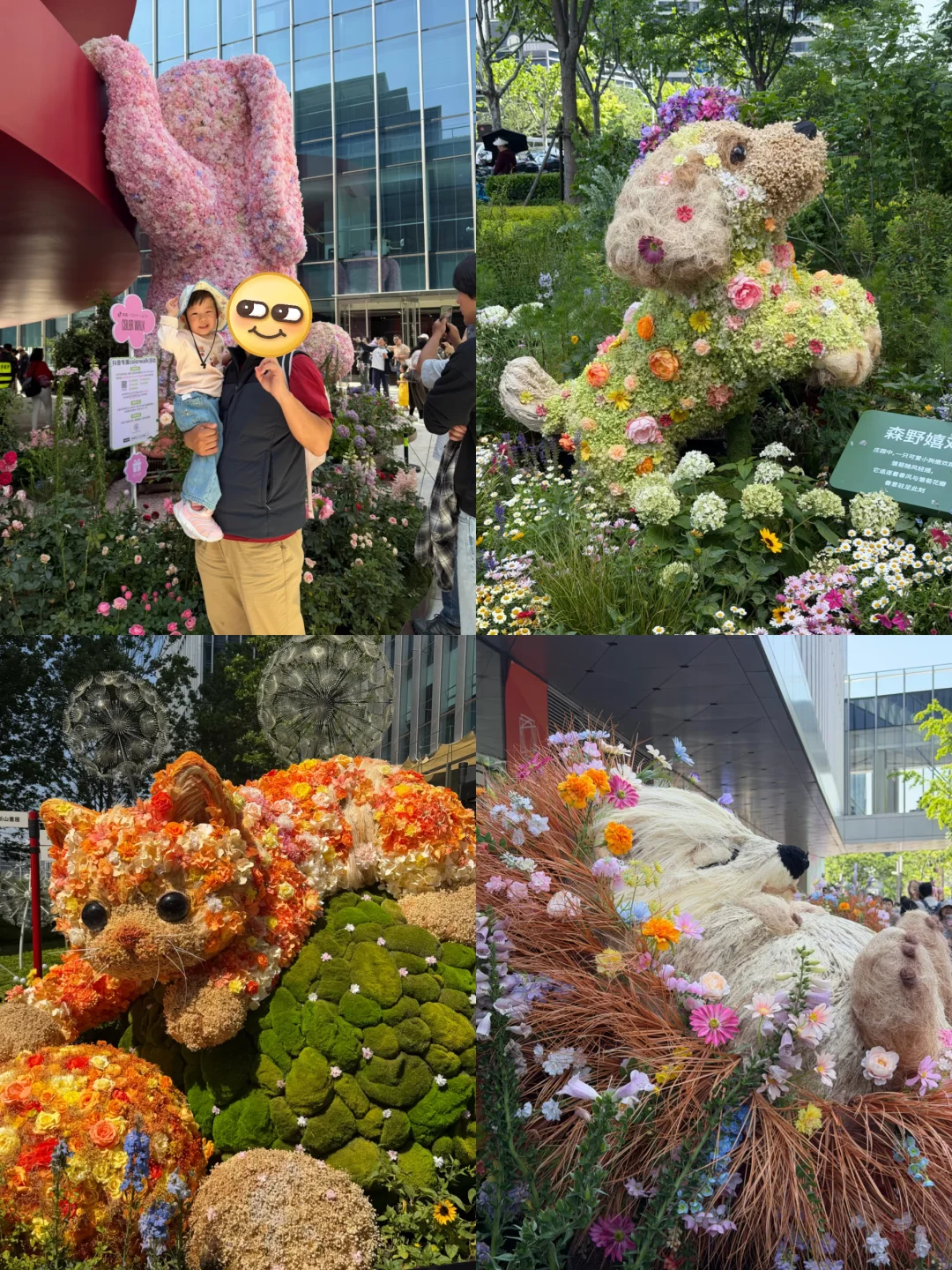 五一前滩国际花卉节打卡，真实人流~
