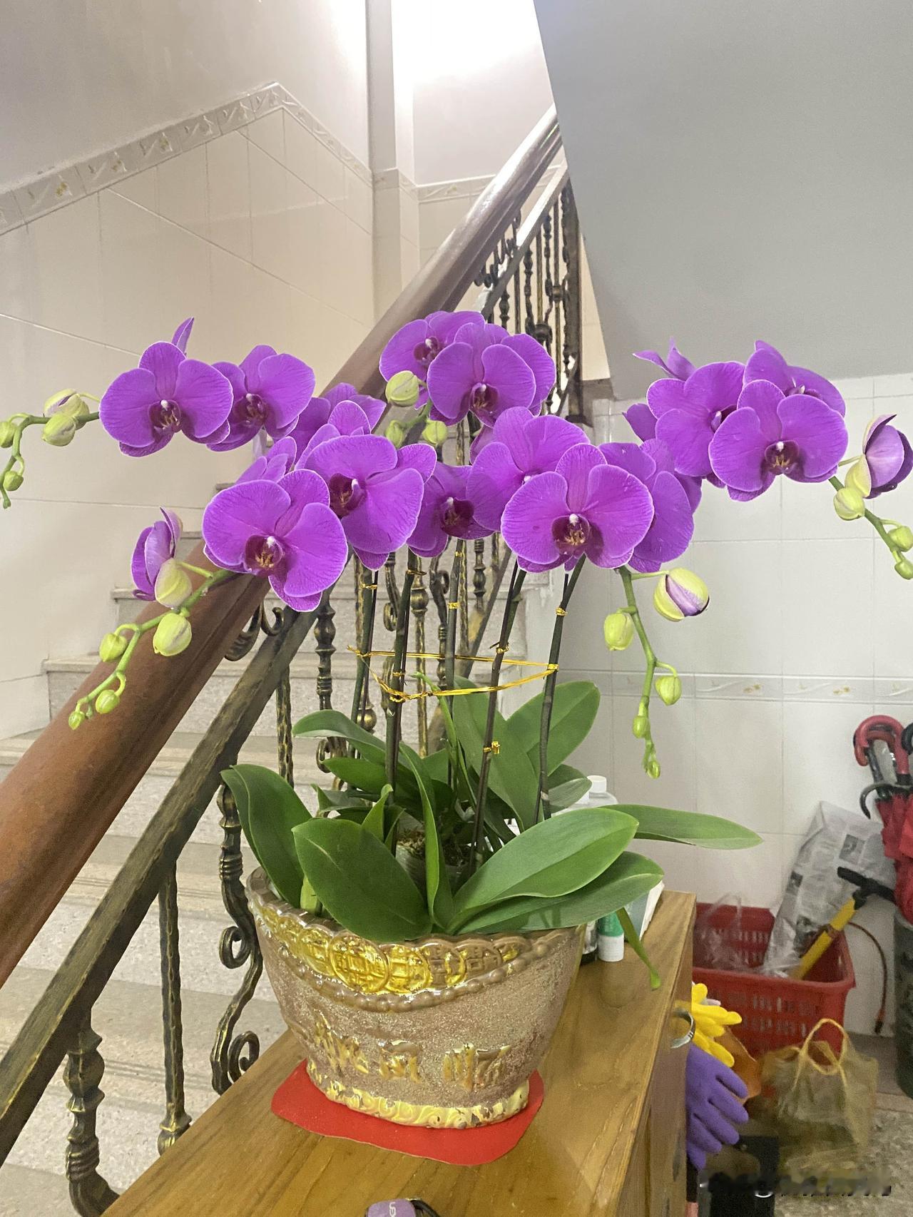 要说回家过年给爸妈带礼物，我觉得多少带点就行，买点他们爱吃的、用得上的，表表心意