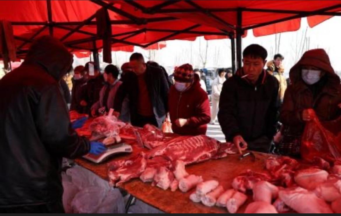 近期国内生猪价格跌至八年低位，市面出现部分蔬菜售价高于猪肉的市场现象，主流媒体理