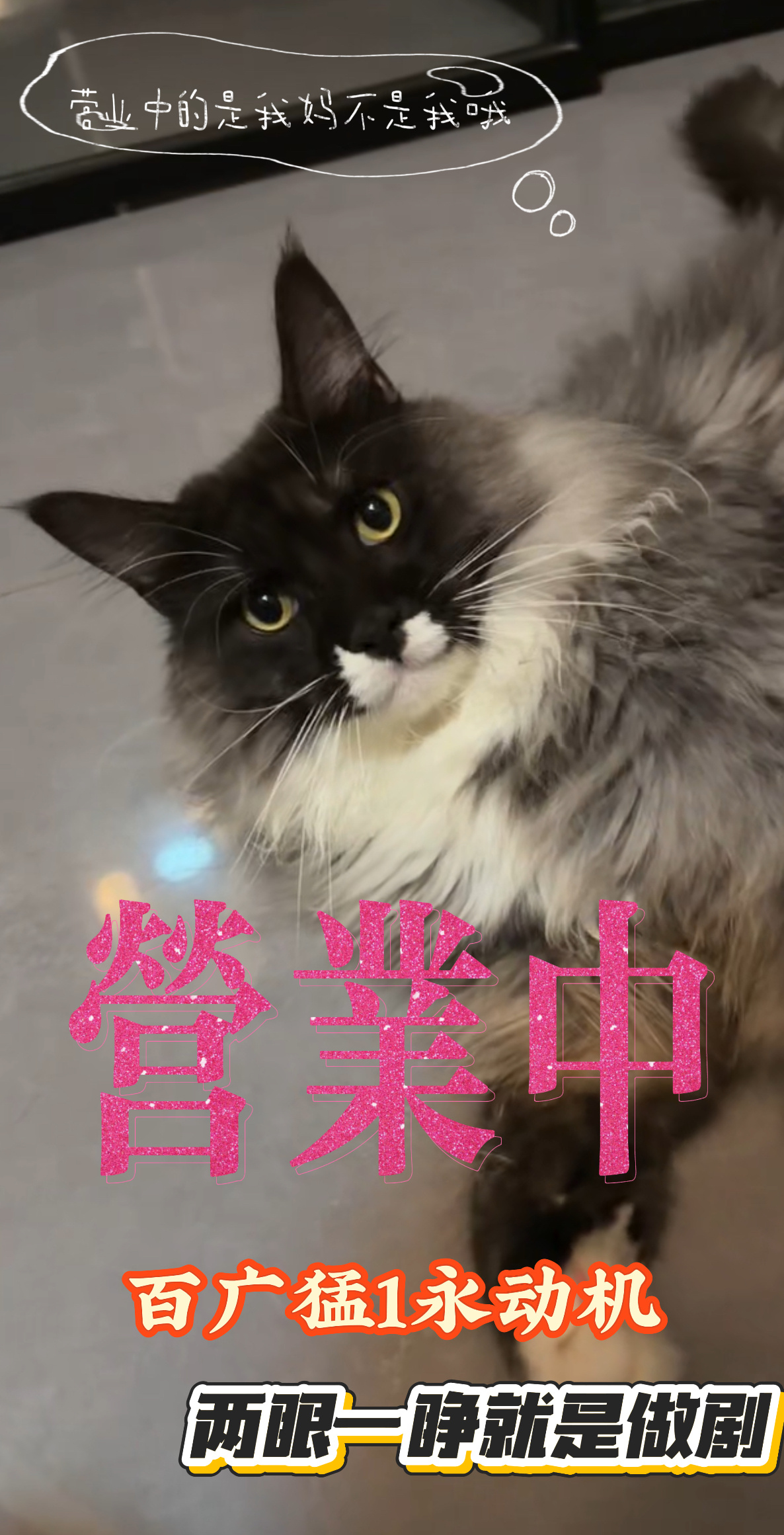 乘之 【待发布作品简览】「改编」《宝贝宝贝》谢颖💪🏻小瑜最坚实的靠山。“都十