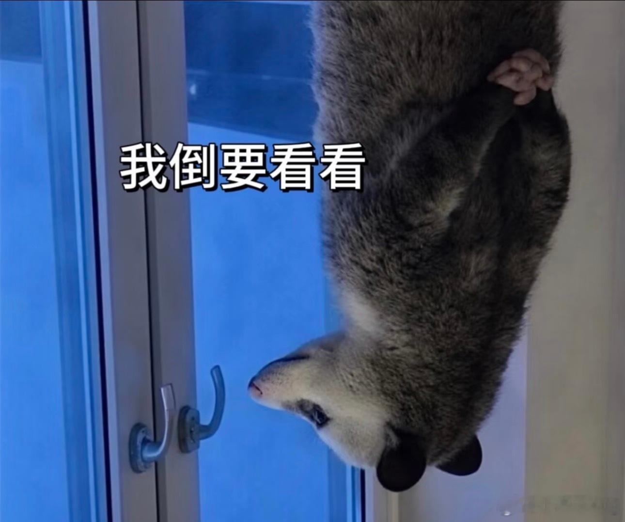 生活手记哈哈哈哈哈 笑一下算了 