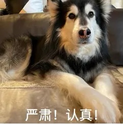 和黑子还在互动不要艾特我，求求了🥺你们也不想看到我，我也懒得理你们，大家互相不