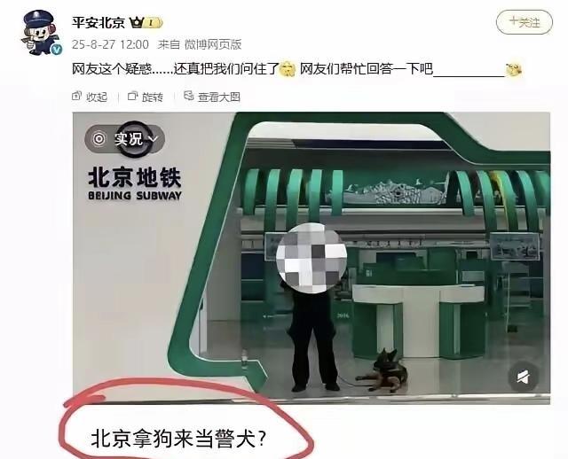 成都一店主砍伤哈士奇致其安乐死，如何评价该事件中双方的行为？
成都被砍伤哈士奇已