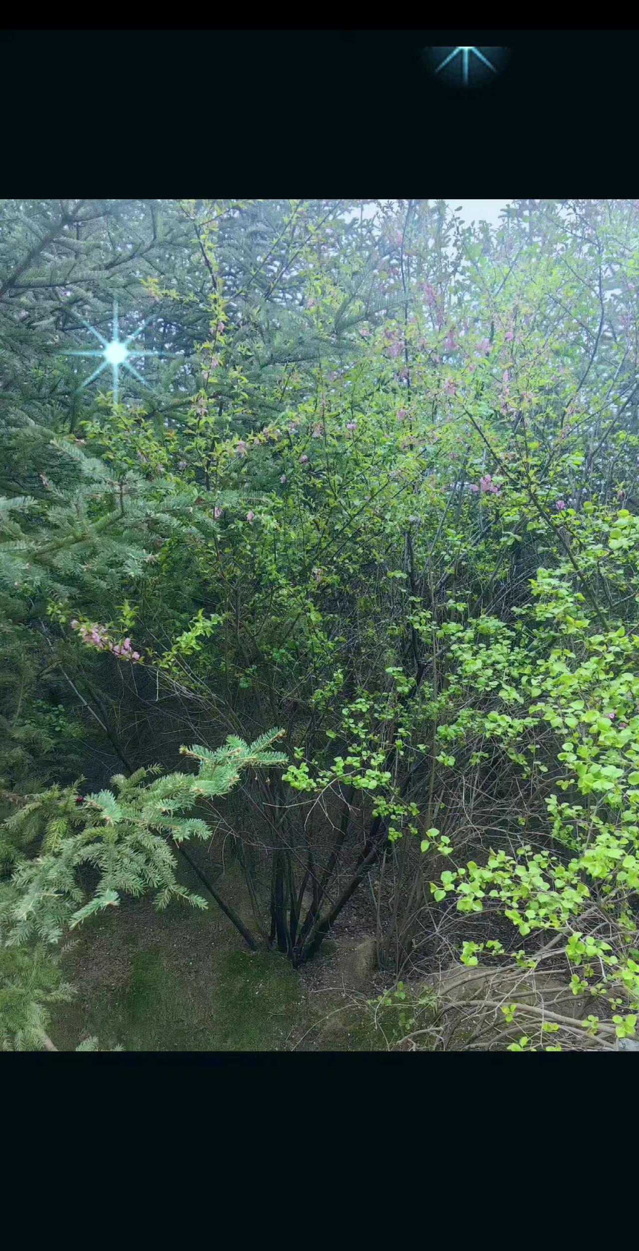 这个世界上只有父母的爱才是真的，其它的都是假的，其它的只能说是交易。是各有所图，