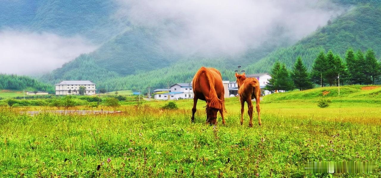短暂又美好的巫溪之行就这样结束了。
天下没有不散的宴席，虽然有点舍不得，但是巫溪