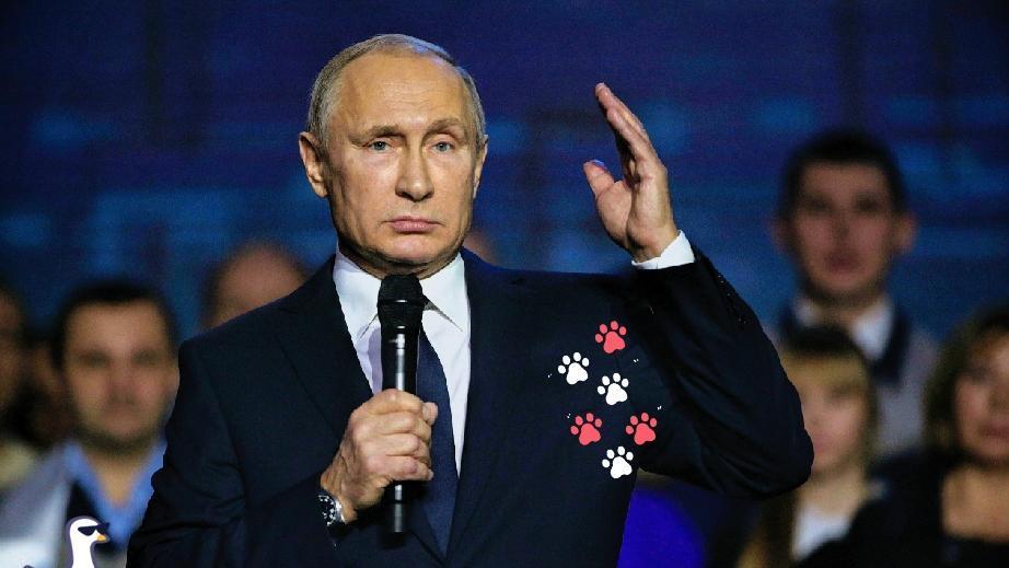 火线播报！火线播报！黑海上空剑拔弩张！
 
据最新报道，俄罗斯国防部宣布了对乌克