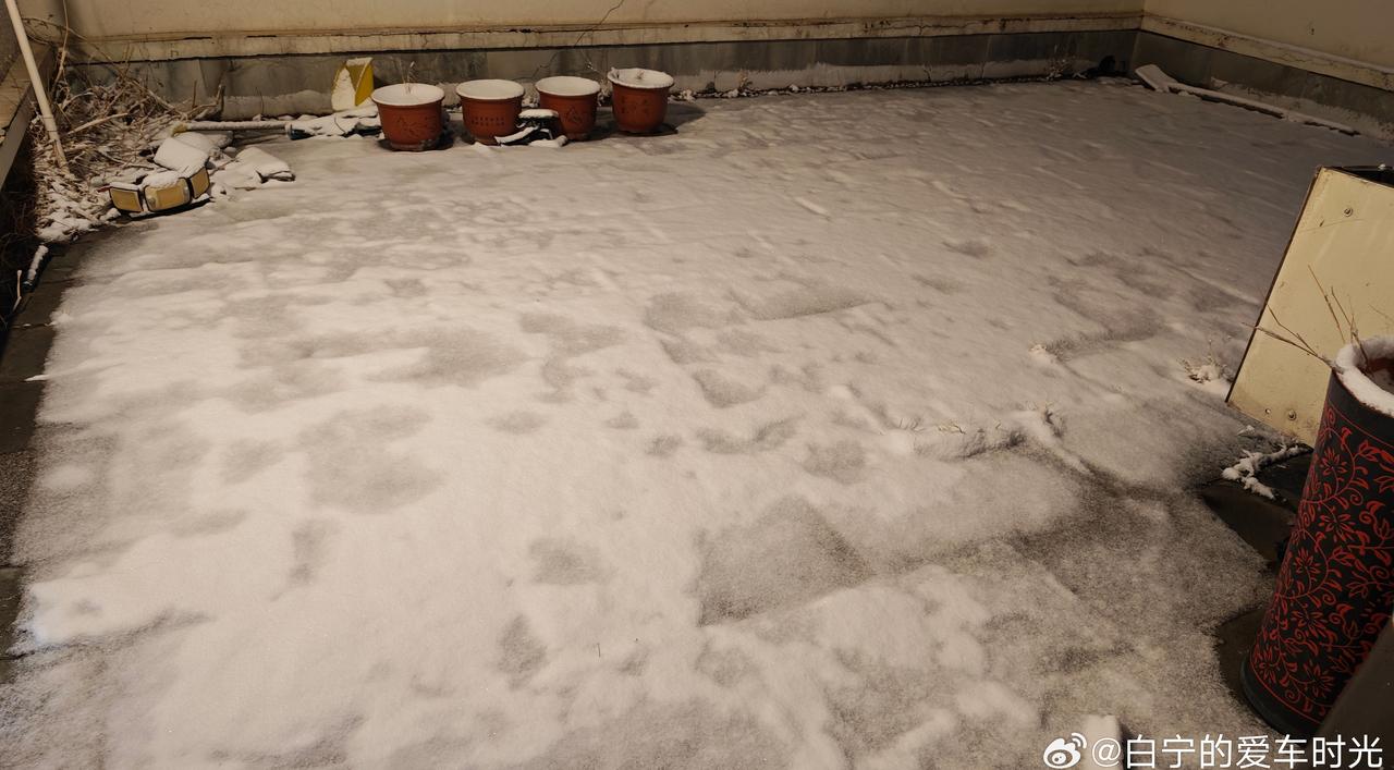 大春节十五六度，大三月花花下大雪，北京今年这气候绝了。 ​​​