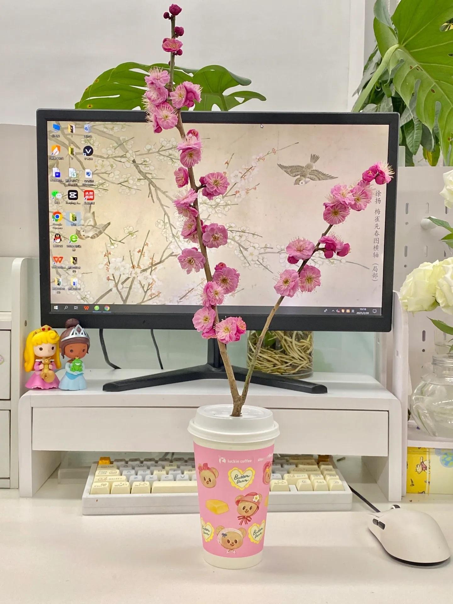 打工人的能量来源，咖啡和花🌸 