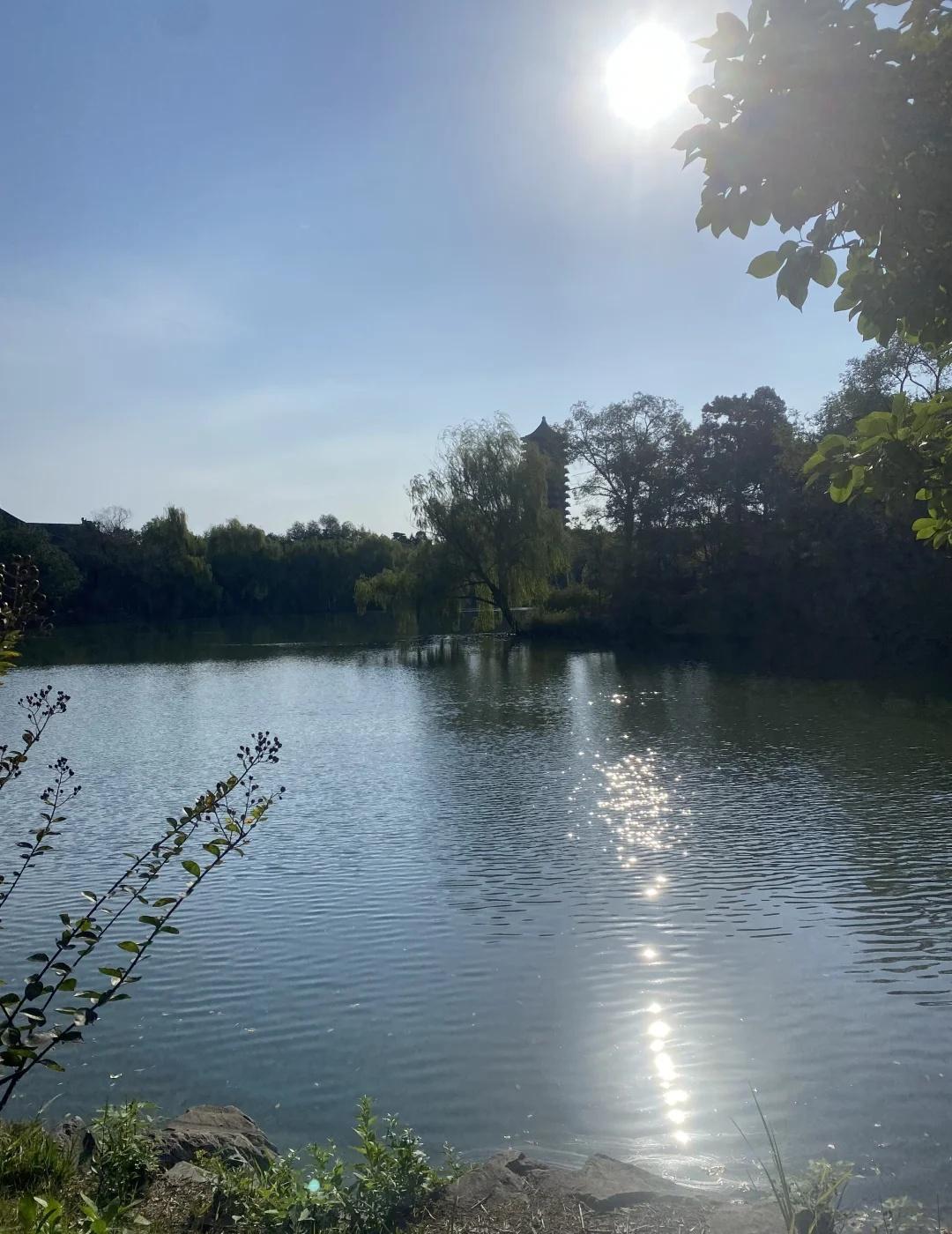 想念一些不存在的中文系
金秋跑的路线经过历史学院和中国语言学系。转院的念头如鬼魅