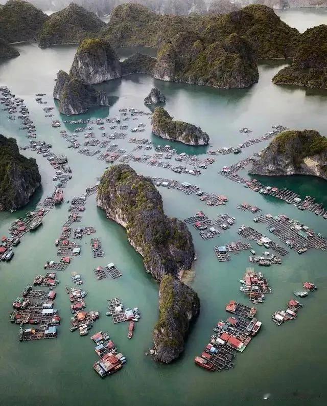 越南吉婆群岛

4000多人住在水上