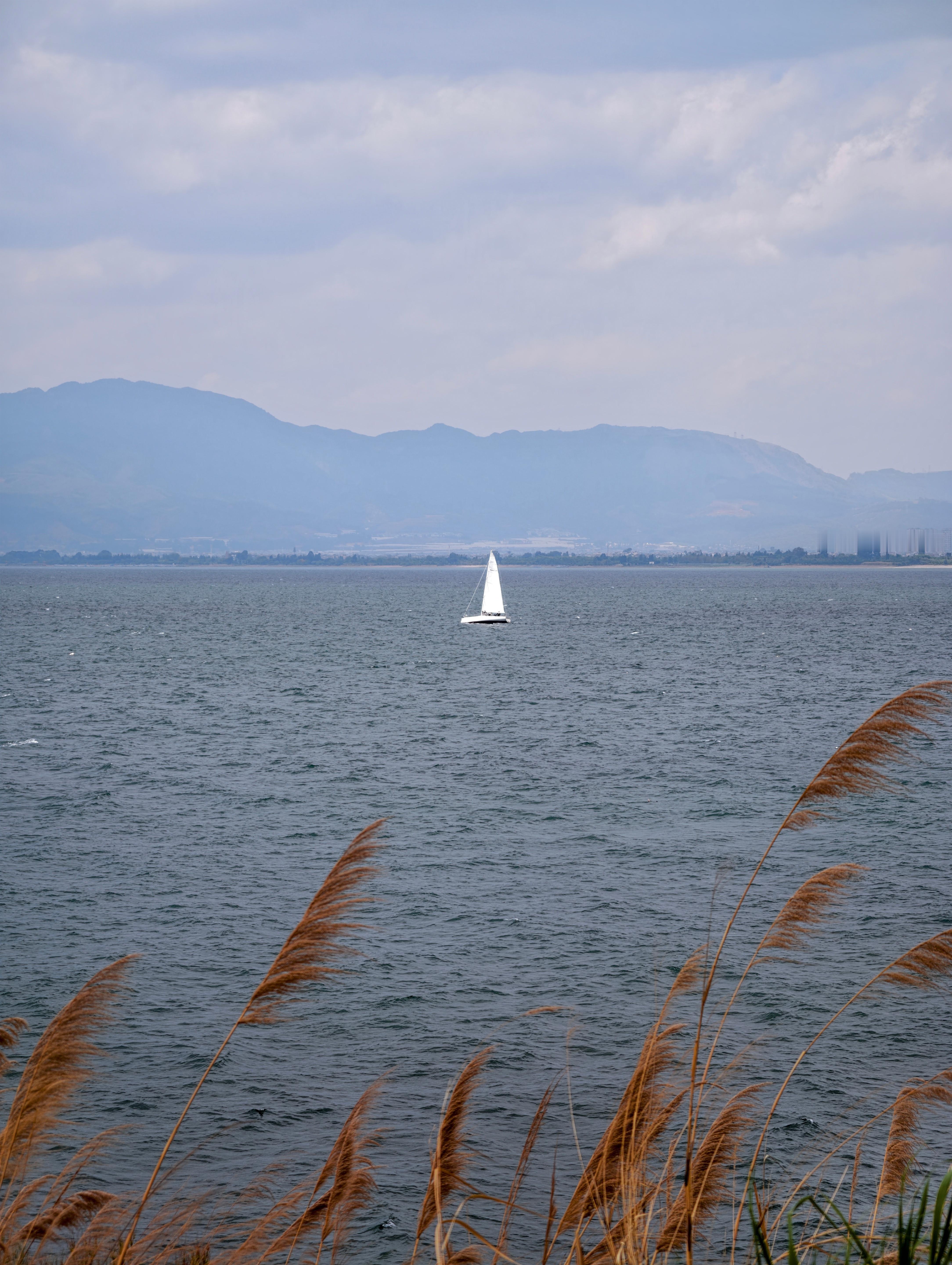 体检肝功能都正常怎么就肝癌了感觉有点刻意制造焦虑了体检不正常，焦虑！体检正常，还