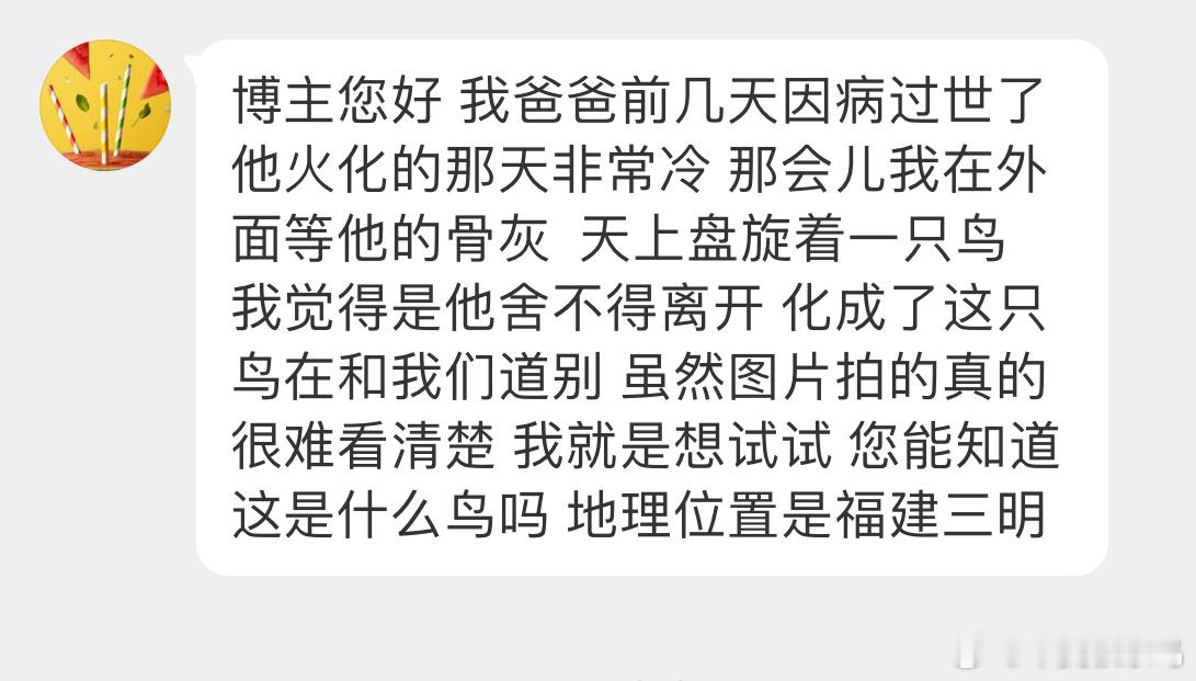 盘旋的是黑鸢yuān父亲化作了一只雄鹰正看着你们呢[心] ​​​