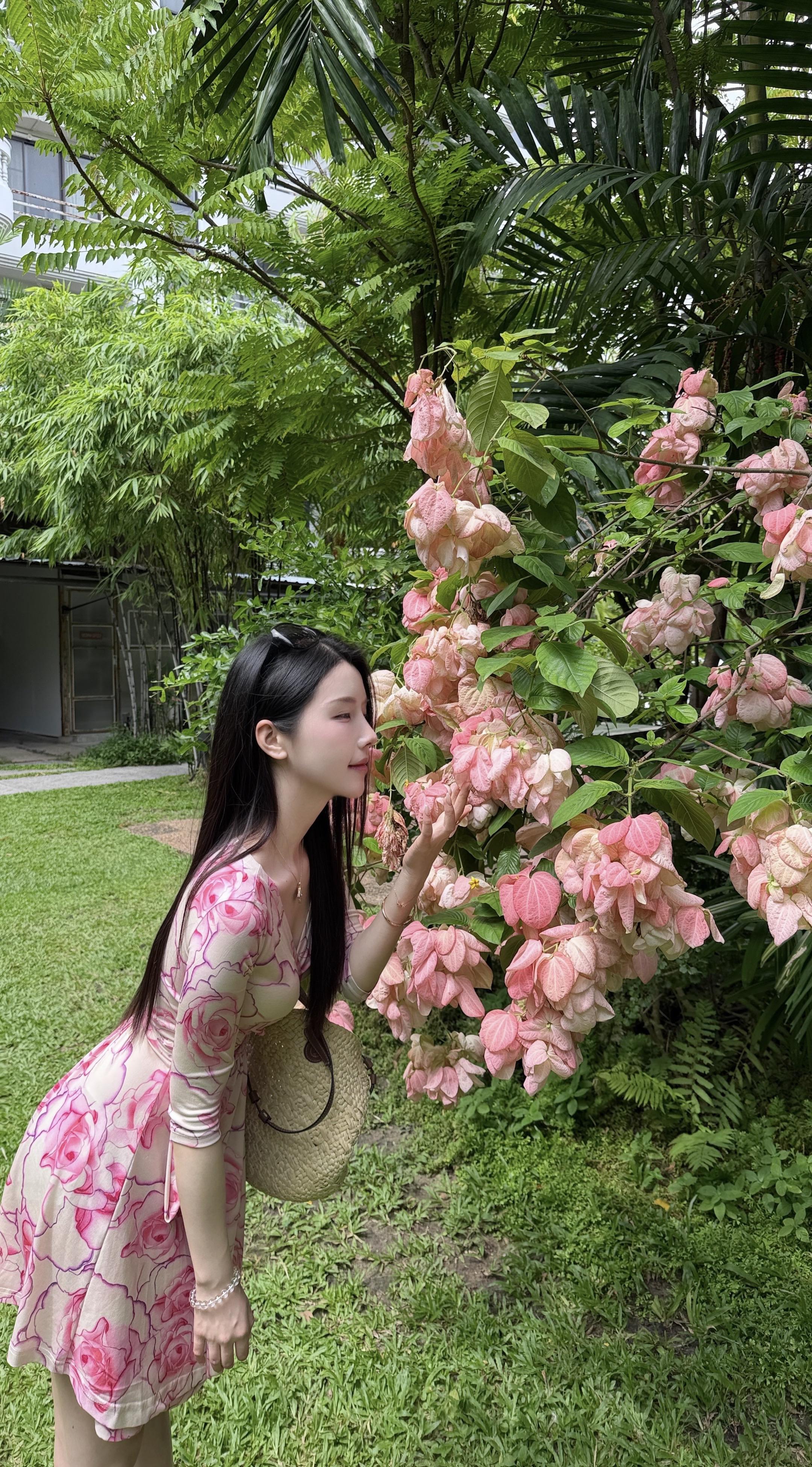 那天，我经过一片花野
