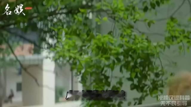 日入两亿，印钞机都没他快！电诈头目陈志的“杀猪盘”园区，不仅自己骗，还把档口出租抽成20%。被高薪诱