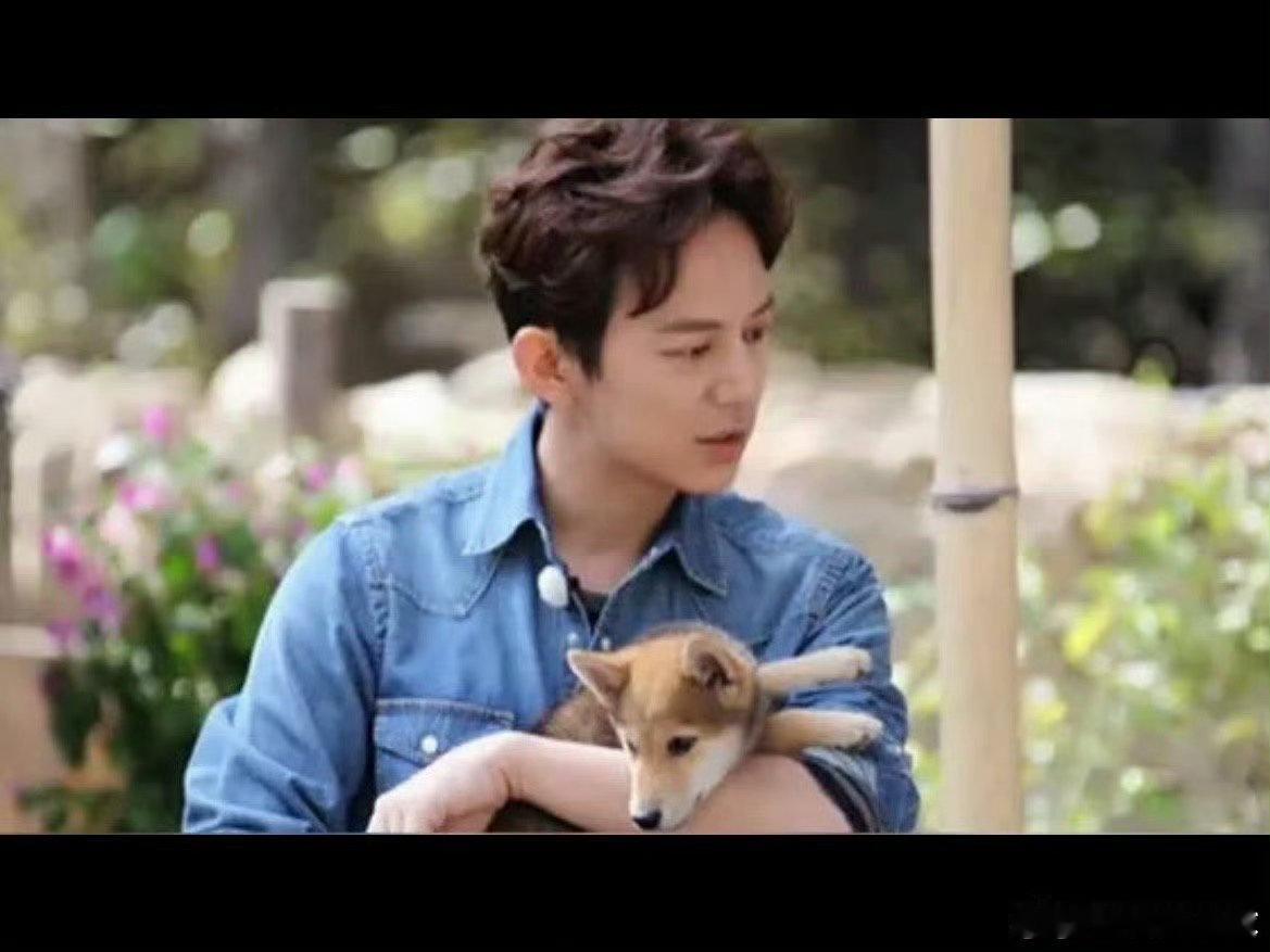 何炅何老师主持完节目又苍老了几岁声鸣远扬 岁月从不败温柔！何老师的“苍老”，是善