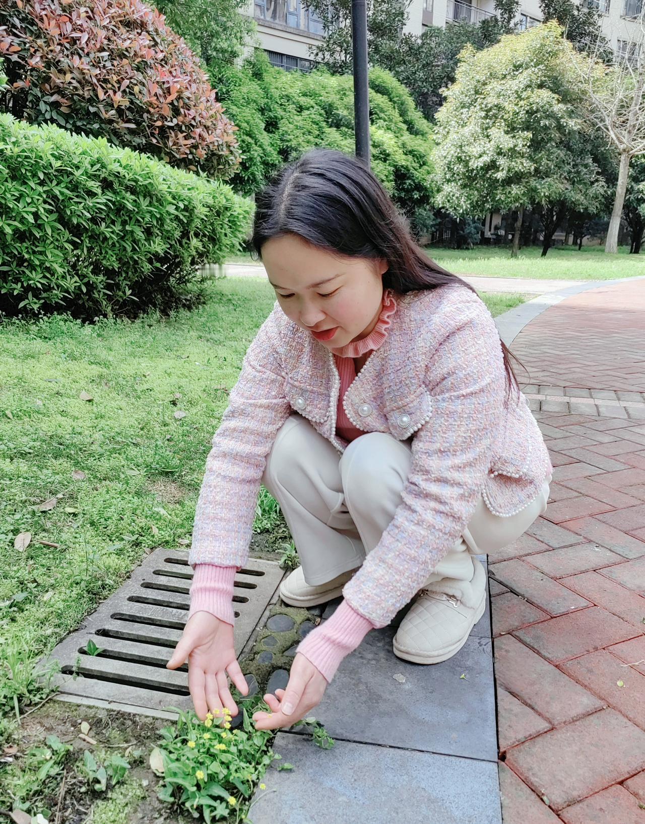 平日记•早安

偶见路边一小丛小小的野花，忍不住驻足。

春和景明，惠风和畅，它