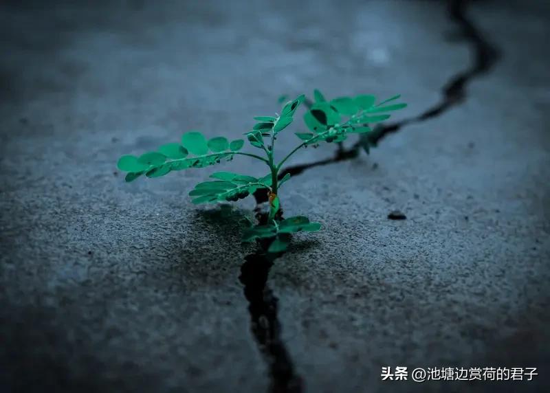 人真的可以绝处逢生吗？这确实是个值得深思的问题。有人觉得绝处逢生概率低至万分之一