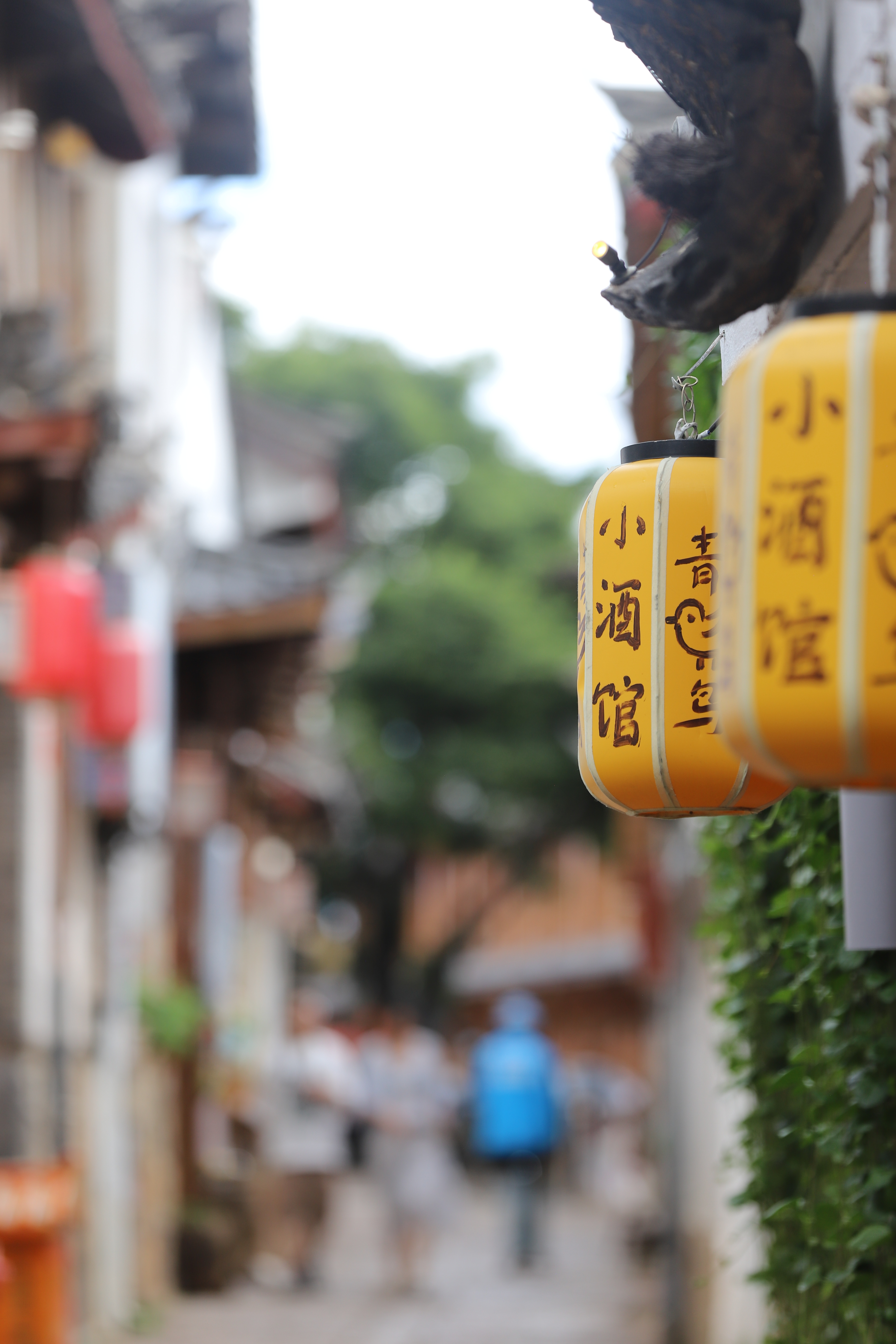 丽江古城里的每一次相遇，也许就是旅行的意义，可它又是那样自然、纯粹。因为我们有感