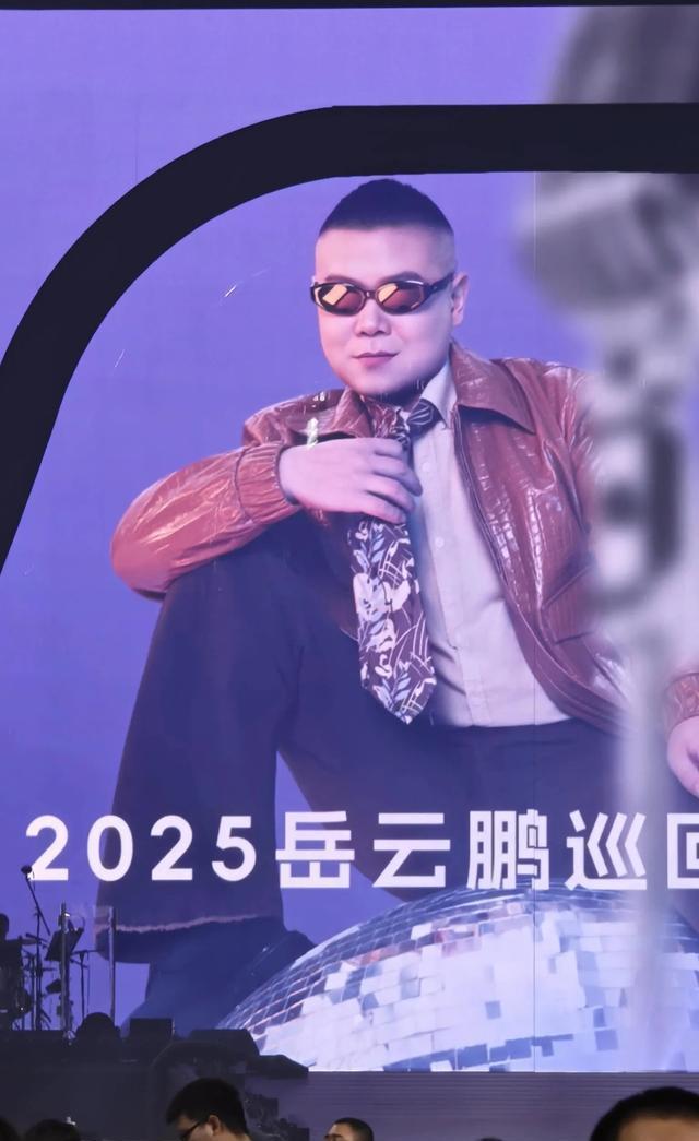 杨帆携女儿与尼格买提共赏岳云鹏演唱会，谭晶、翟潇闻及姜妍亦莅临现场。 ​​​