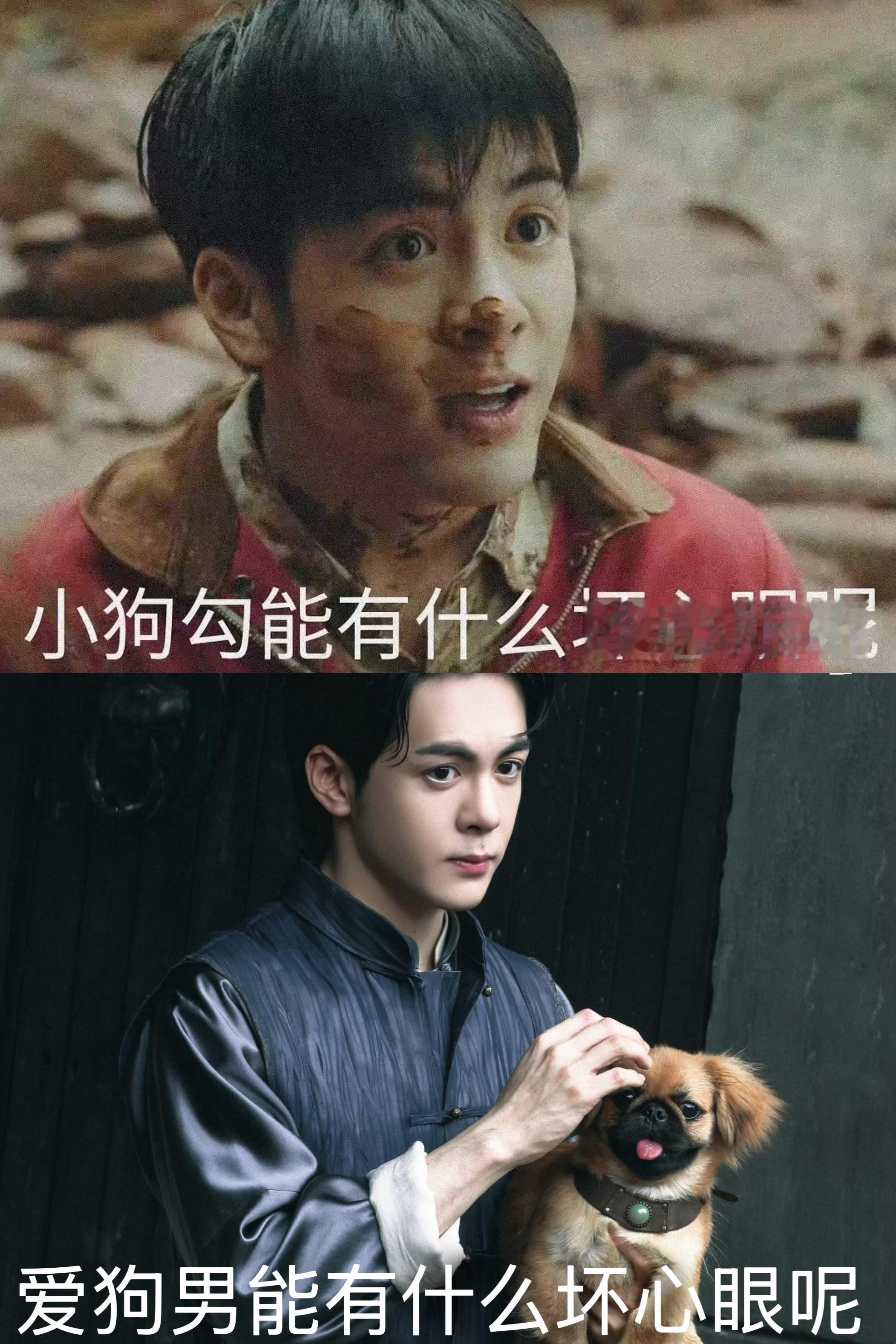 曾舜晞吴老狗  曾舜晞九门 是土匪是老狗还是爱狗男