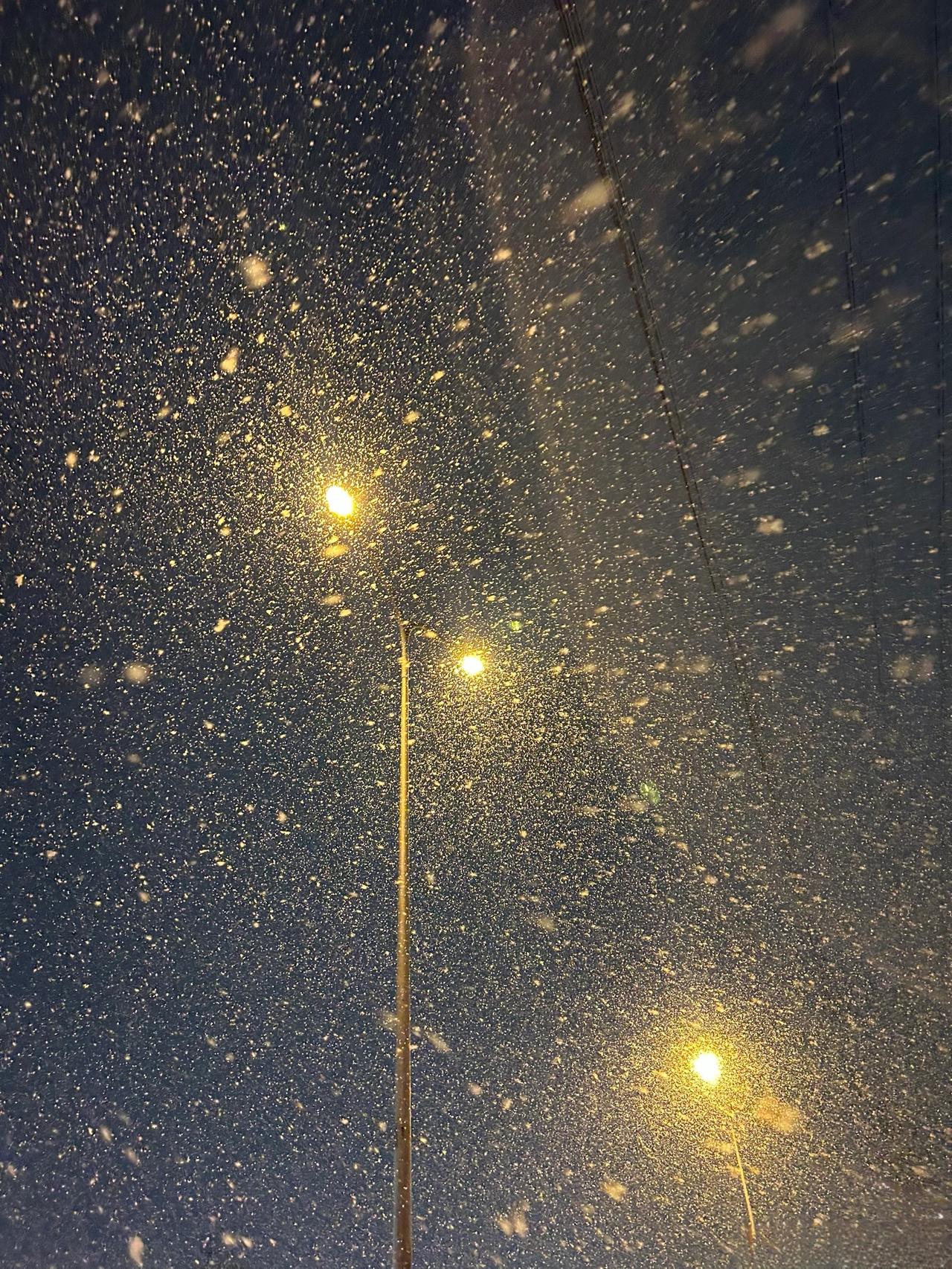 家人健康平安，不失业！