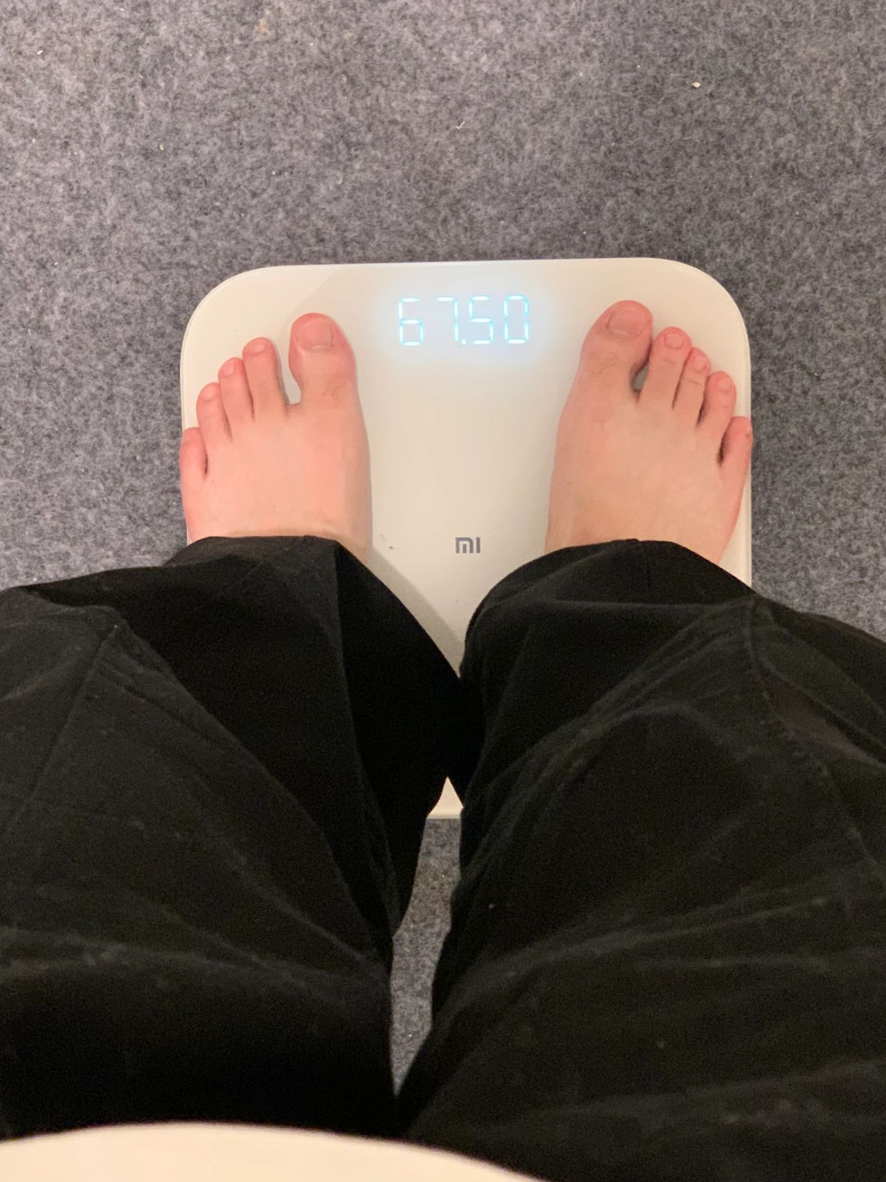 在发胖的路上越走越远