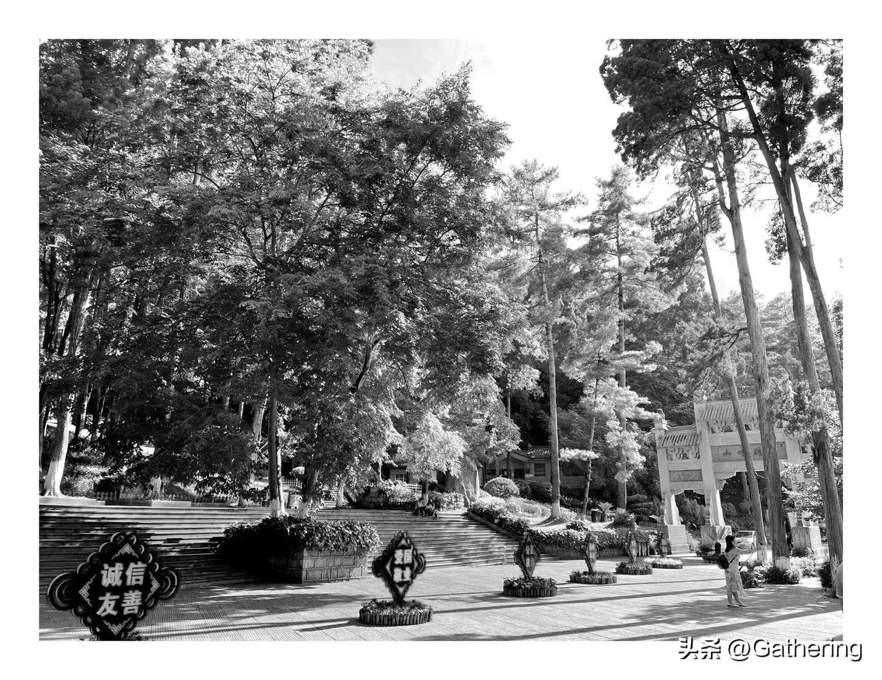 相比于原油涨价，
我更担心全球柴油紧缺。就现在而言，全球还有38%以上的国家是靠