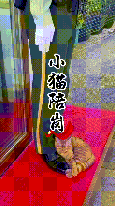 今天刷到这段视频，心里一下就暖了。天安门哨位旁，武警战士身姿挺拔地坚守岗位，连手