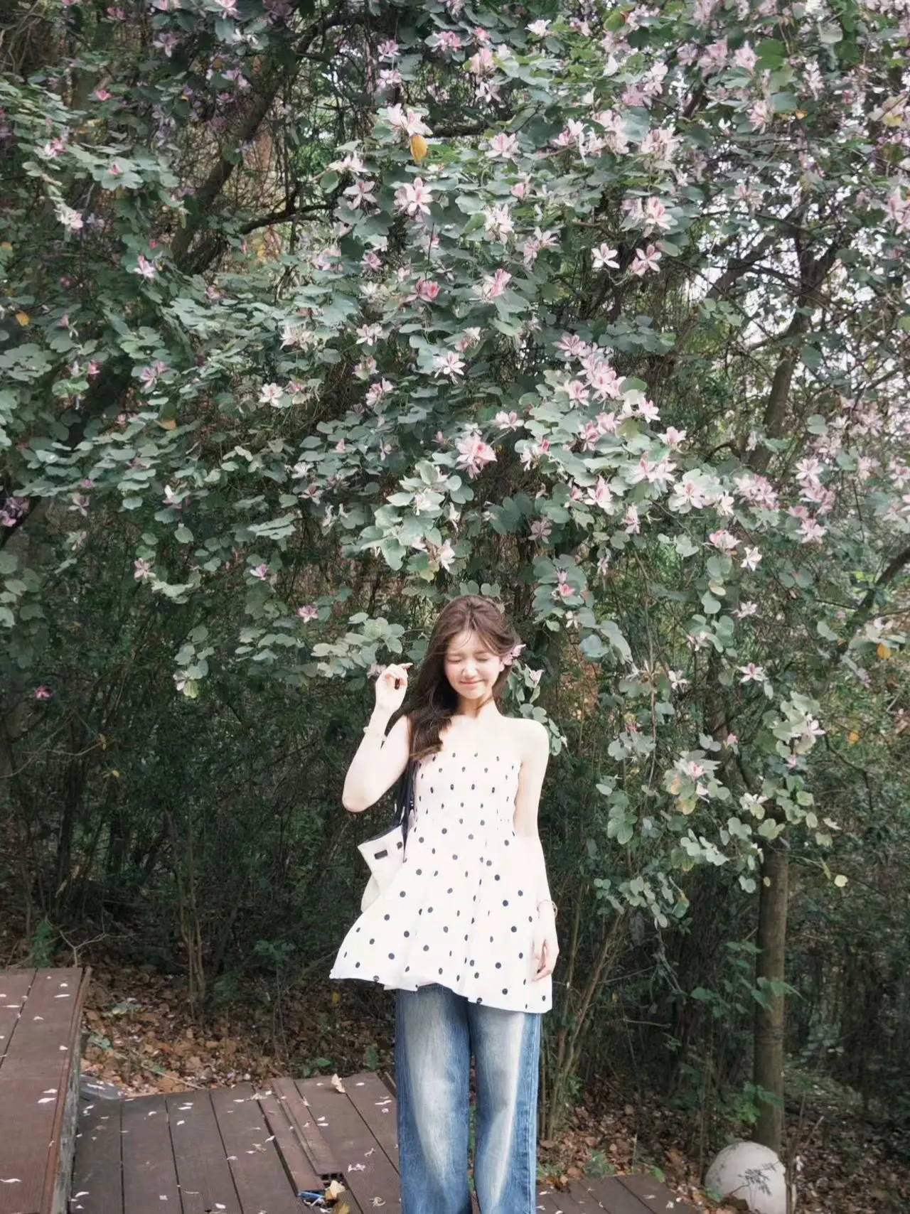 柳州的春日限定🌸