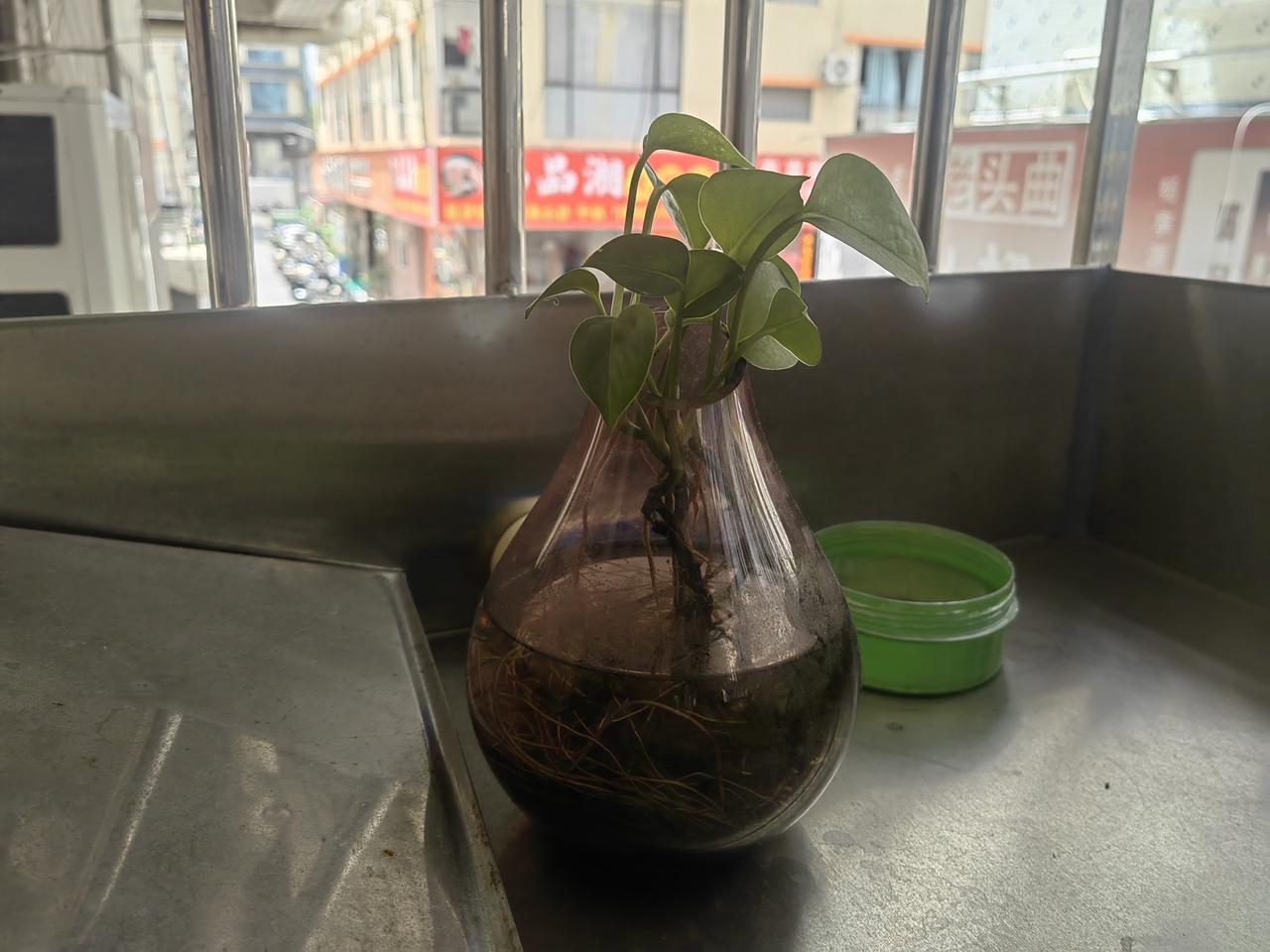 我在这个小区已经住了十二个年头，十二年，人生没有多少个十二年的啊，因此当我每天看
