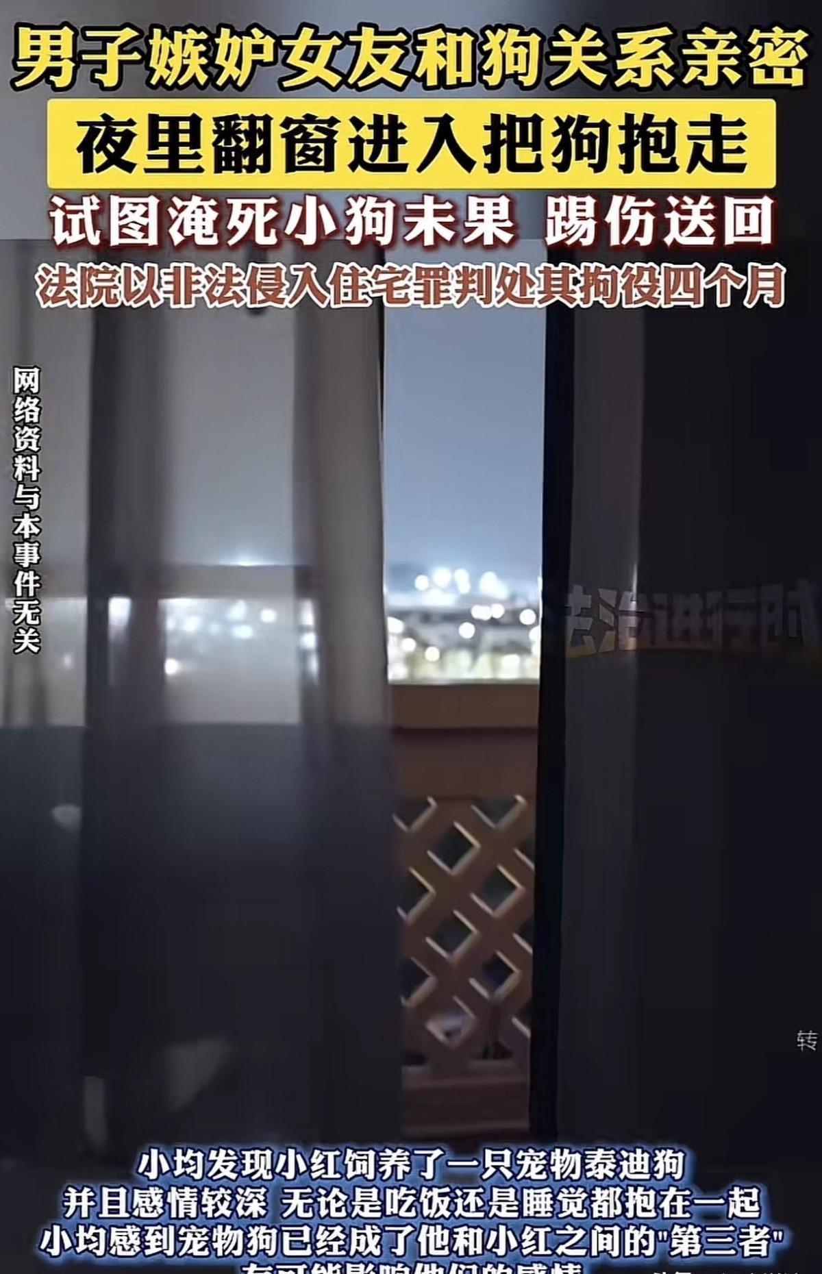 上海，一男子发现女友，与其宠物泰迪狗关系异常亲密，吃饭睡觉都抱着，男子起了嫉恨之