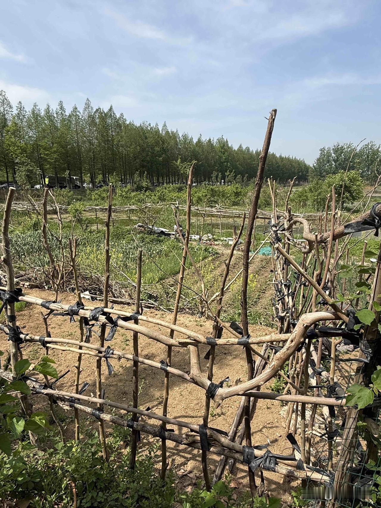 【小对联】
上：过度；
下：……？