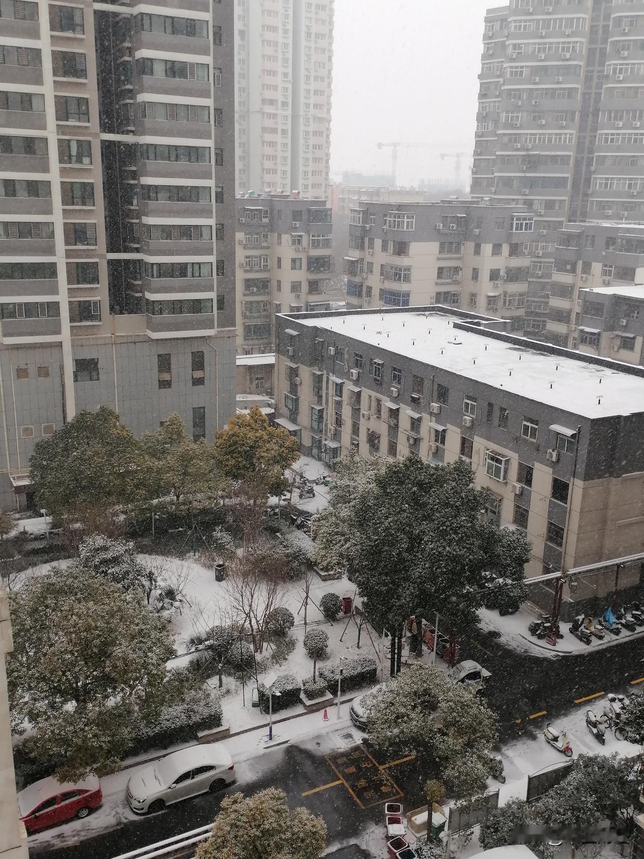 今年冬天的不同等了那么久，今天终于下雪了，雪花尽管不大，但是非常的紧！家中的小植