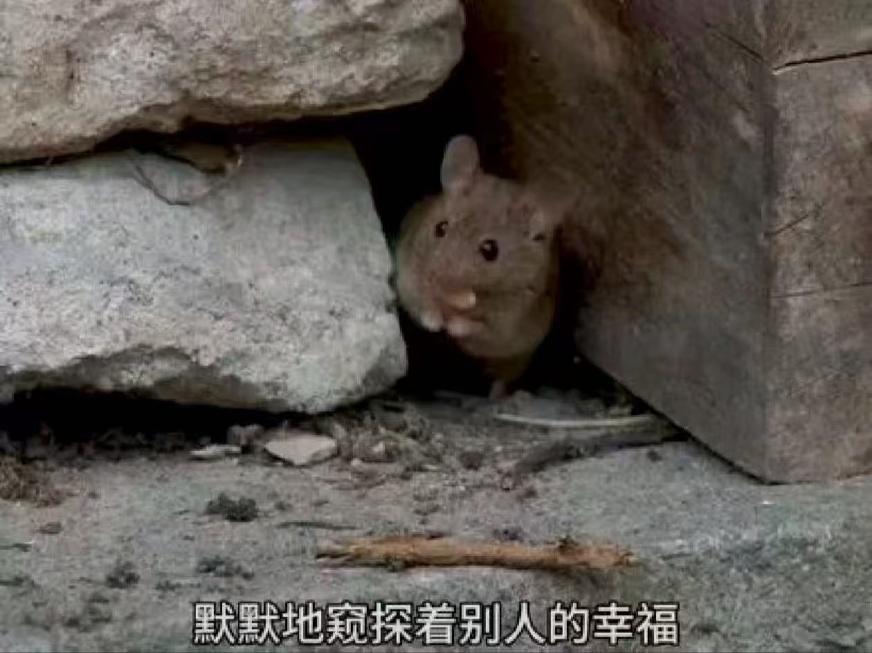 听说有人放13天假？ ​​​