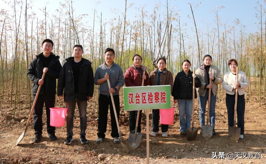 3月11日，在第48个植树节到来之际，汉台区检察院积极响应区委号召，组织干警前往
