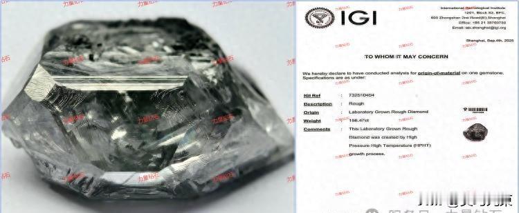 河南力量钻石突破记录，未来可期
力量钻石厉害了，在河南国际投资贸易洽谈会上，培育